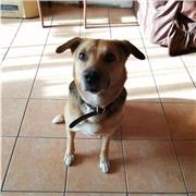 Clases de Alemán para niños/as y jóvenes - primera clase gratis